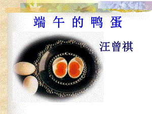 端午的鸭蛋托克逊一中张宝兰精品教育.ppt