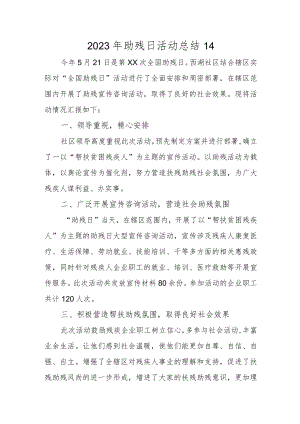 2023年助残日活动总结14.docx