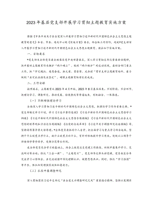 2023年基层党支部开展学习贯彻主题教育实施方案（2篇）.docx
