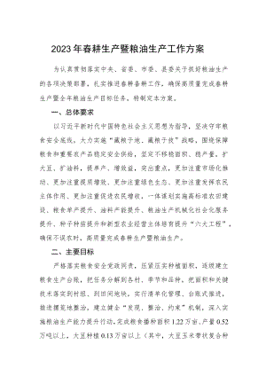2023年春耕生产暨粮油生产工作方案.docx