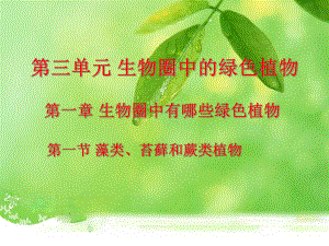 课件藻类苔藓和蕨类植物精品教育.ppt