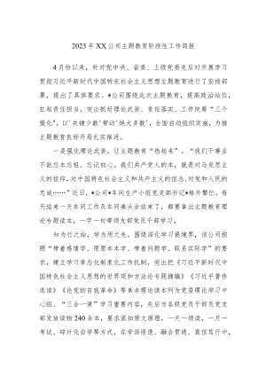 2023年XX公司主题教育阶段性工作简报.docx