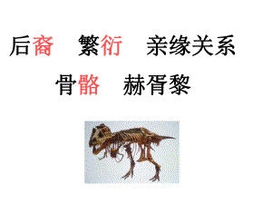 飞向蓝天的恐龙 精品教育.ppt
