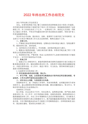 2022年终出纳工作总结范文.docx