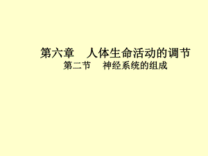 神经系统的组成.ppt