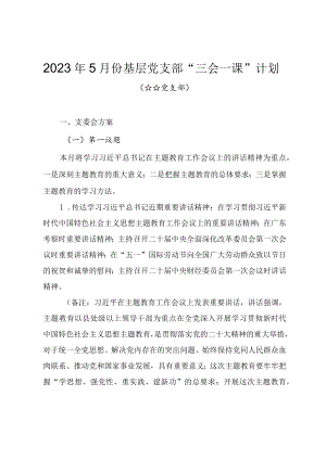 2023年5月份基层党支部“三会一课”工作计划.docx
