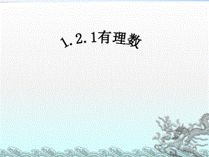 课件11.2.1有理数精品教育.ppt