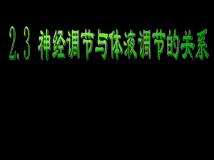 神经体液调节的关系.ppt