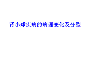 肾炎病理新.ppt