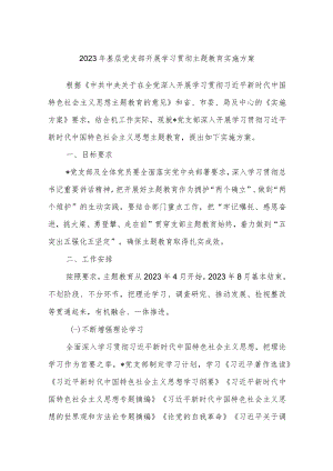 2023年基层党支部开展学习贯彻主题教育实施方案.docx