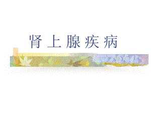 肾上腺疾病.ppt