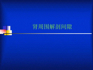 肾周围解剖间隙.ppt