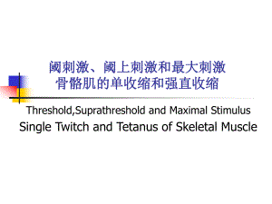 神经肌肉实验.ppt