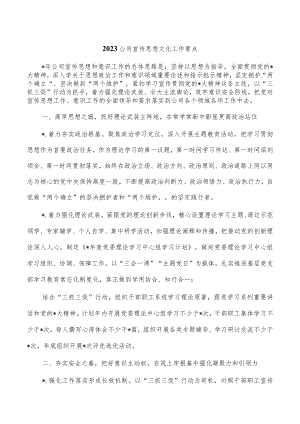 2023公司宣传思想文化工作要点.docx