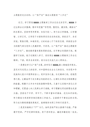 主题教育发言材料：以“真严实”推动主题教育“三步走”.docx
