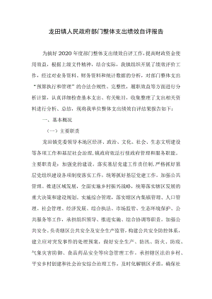 龙田镇人民政府部门整体支出绩效自评报告.docx
