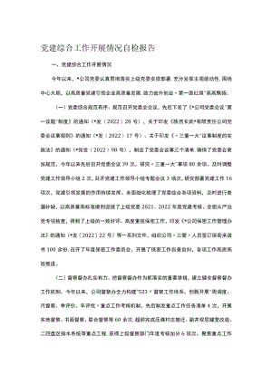党建综合工作开展情况自检报告.docx
