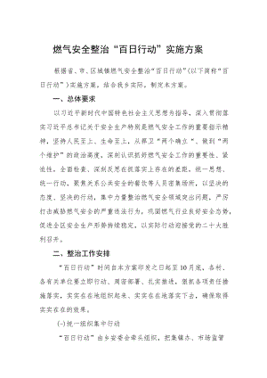 燃气安全整治“百日行动”实施方案.docx