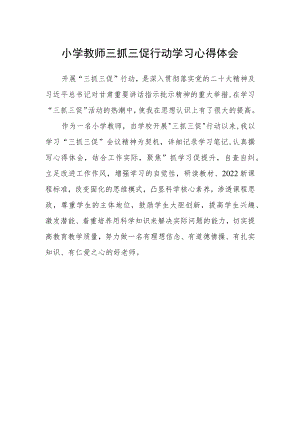 小学教师三抓三促行动学习心得体会.docx