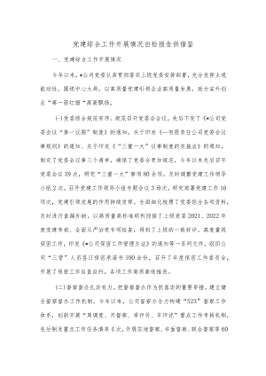 党建综合工作开展情况自检报告供借鉴.docx
