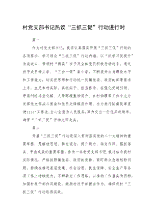 村党支部书记热议“三抓三促”行动进行时七篇.docx