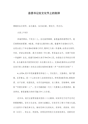 县委书记在文化节上的致辞.docx