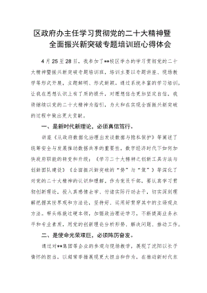 区政府办主任学习贯彻党的二十大精神暨全面振兴新突破专题培训班心得体会.docx