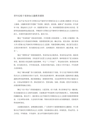 青年纪检干部参加主题教育感悟.docx