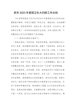 某市2023年爱国卫生大扫除工作总结.docx