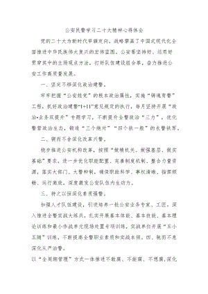 公安民警学习二十大精神心得体会.docx