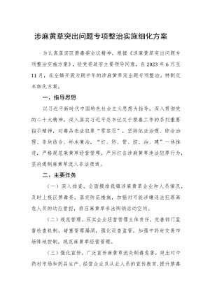涉麻黄草突出问题专项整治实施细化方案.docx