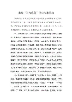 推进“阳光政务”行动九条措施.docx