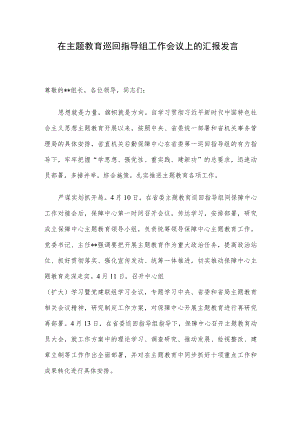 在主题教育巡回指导组工作会议上的汇报发言.docx