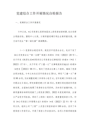 党建综合工作开展情况自检报告.docx