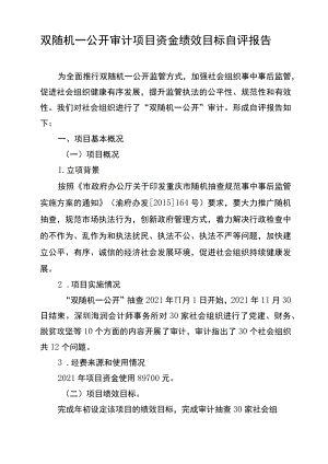 双随机一公开审计项目资金绩效目标自评报告.docx