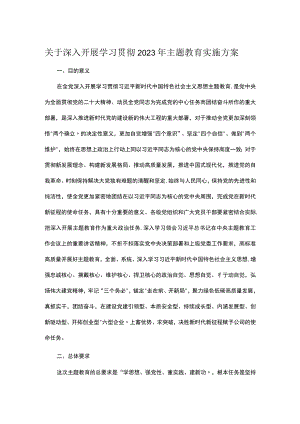 关于深入开展学习贯彻2023年主题教育实施方案.docx