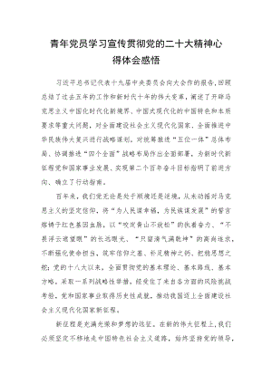 青年党员学习宣传贯彻党的二十大精神心得体会感悟.docx