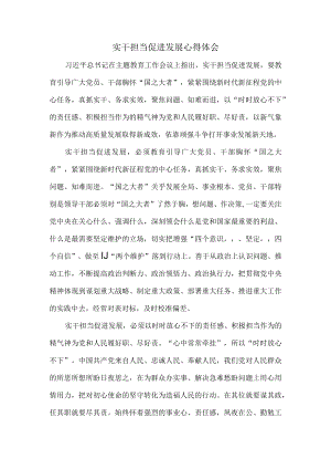 实干担当促进发展心得体会.docx