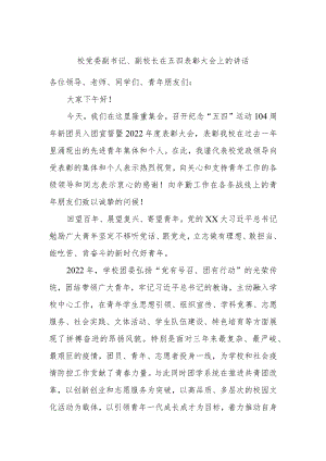校党委副书记、副校长在五四表彰大会上的讲话.docx