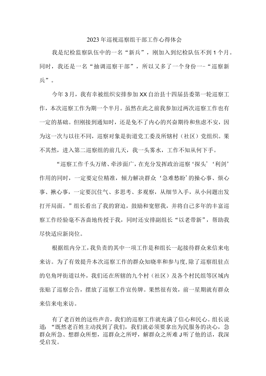 新编全省2023年纪检巡察组巡检工作心得体会 (8份).docx_第1页