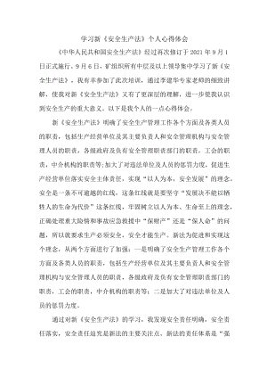 国企安全监督员学习新《安全生产法》心得体会.docx