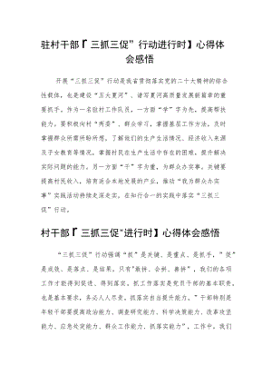 驻村干部【“三抓三促”行动进行时】心得体会感悟范文(通用3篇).docx