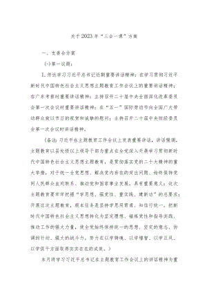 关于2023年“三会一课”方案.docx
