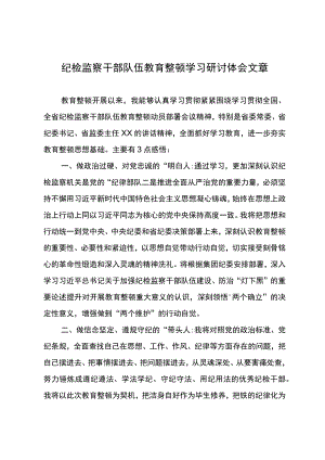 纪检监察干部队伍教育整顿学习研讨体会文章.docx