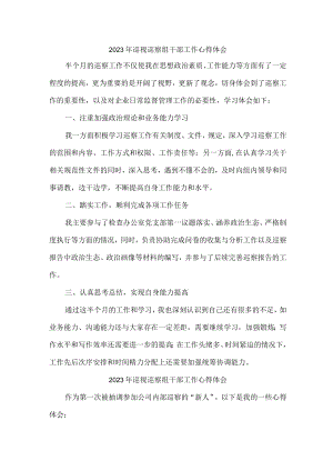 区县2023年纪检巡察组巡检工作心得体会 （6份）.docx
