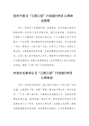 驻村干部【“三抓三促”行动进行时】心得体会感悟范文(3篇).docx