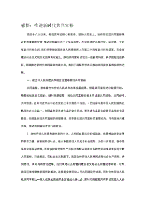 感悟：推进新时代共同富裕.docx