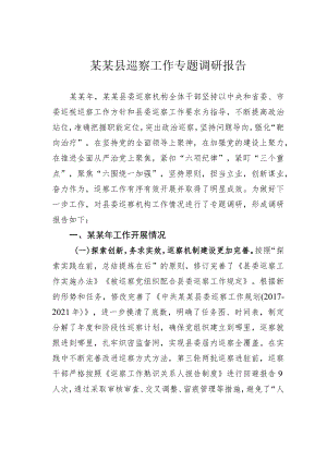 某某县巡察工作专题调研报告.docx
