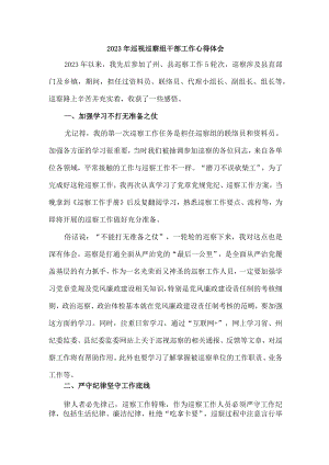 2023年全市纪检巡察组巡检工作个人心得体会 （汇编8份）.docx