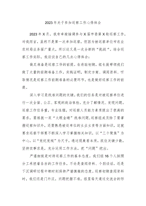 2023年关于参加巡察工作心得体会.docx